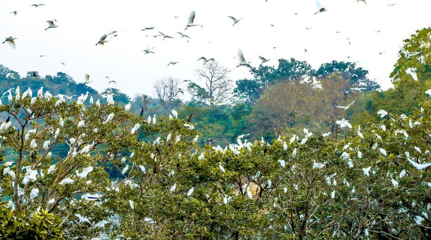 Pakhal Wildlife Sanctuary